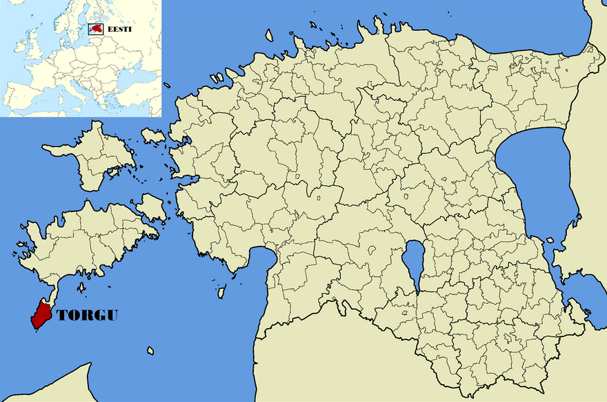 Torgu Kuningriik paikneb Saaremaa kõrval Sörvemaal, Sörve poolsaare lõunatipus, rahvapäraselt Taga-Sörves, asudes varasema Jämaja kihelkonna (1228-1939) ning Torgu valla (1866-1945 ja 1993-2017) maa-alal